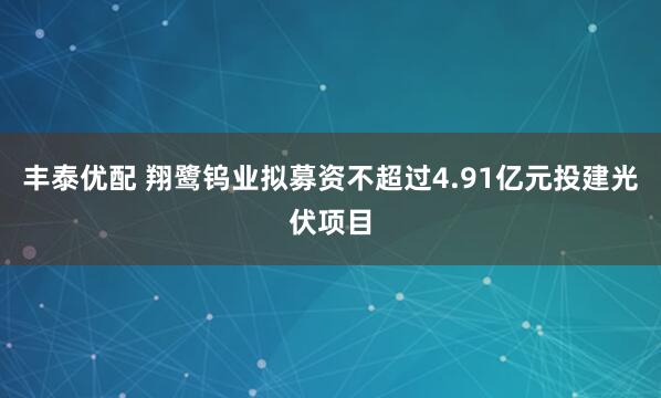丰泰优配 翔鹭钨业拟募资不超过4.91亿元投建光伏项目