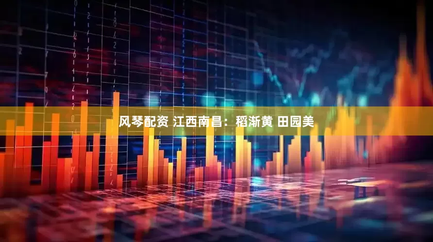 风琴配资 江西南昌:稻渐黄 田园美